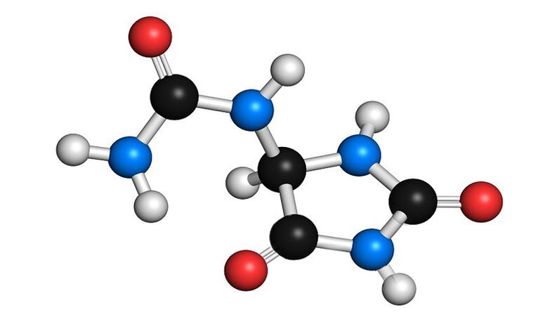 allantoïne en panthenol in Hondrolife